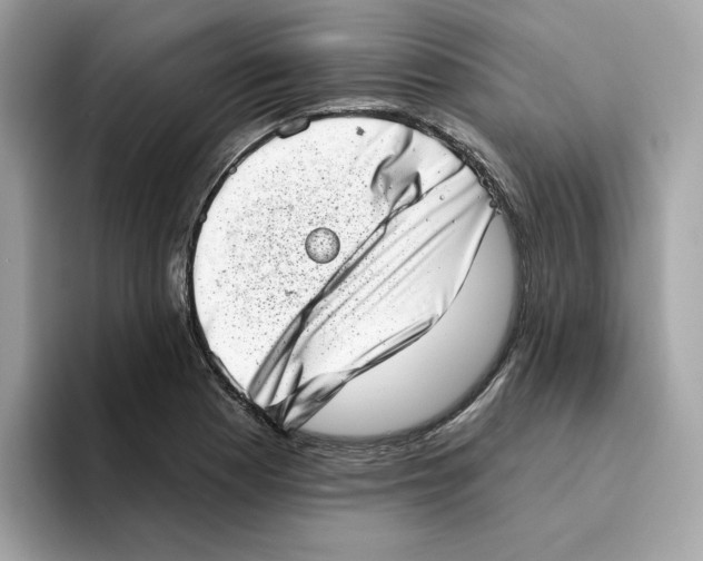 X0000094331177200711301222