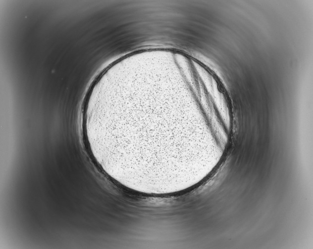 X0000094331179200711301222