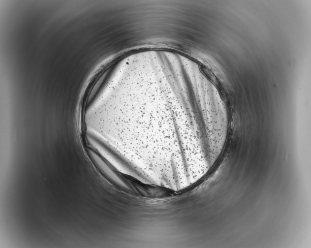 X0000094331180200711301222