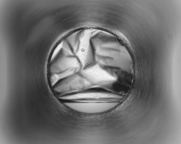 X0000094331183200711301222