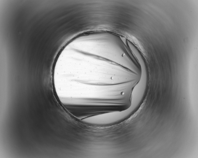 X0000094331184200711301222