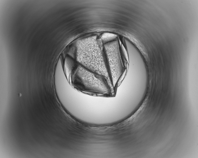 X0000094331185200711301222