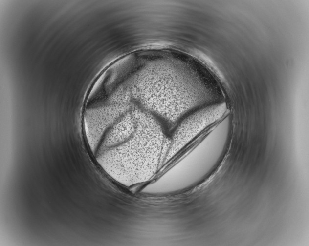 X0000094331186200711301222