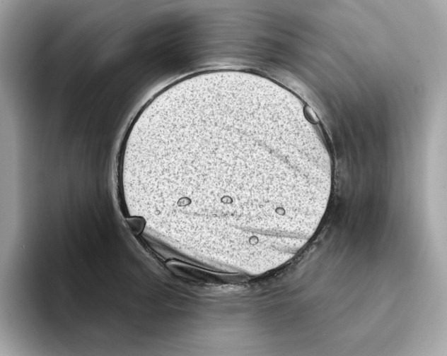 X0000094331187200711301222