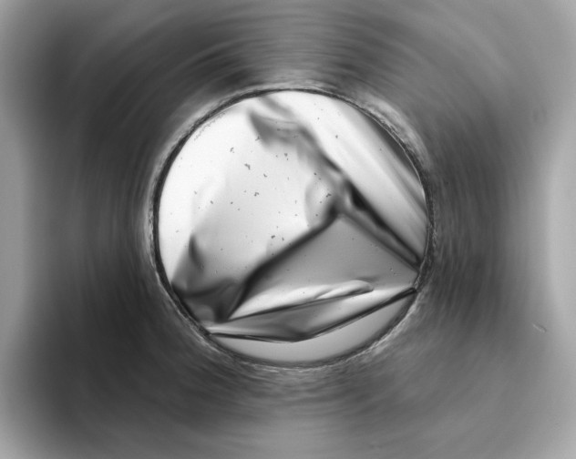 X0000094331188200711301222