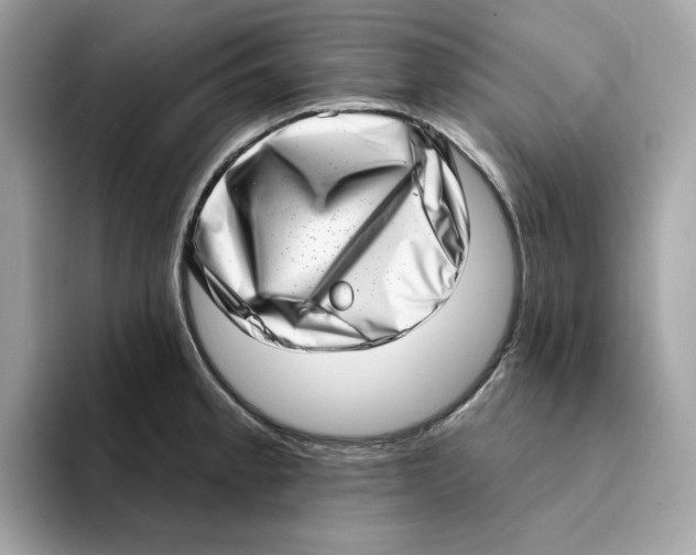 X0000094331189200711301222