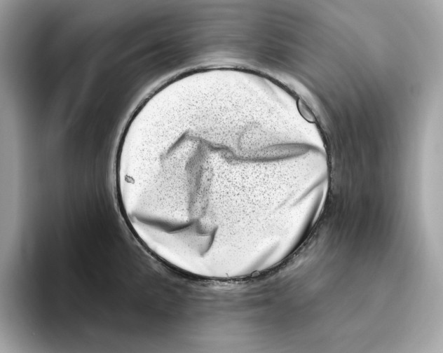 X0000094331191200711301222