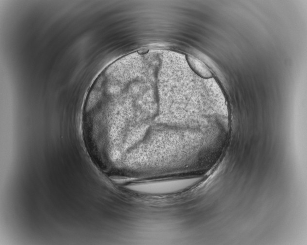 X0000094331194200711301222