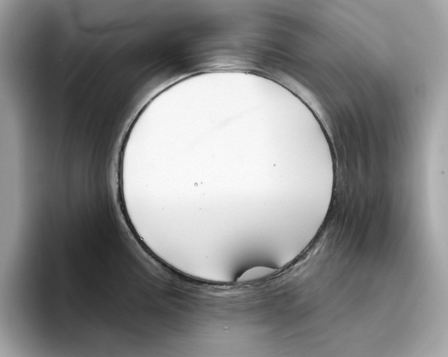 X0000094331195200711301222