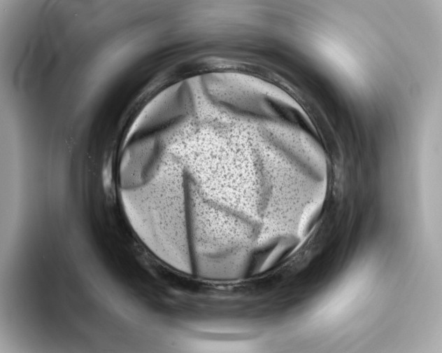 X0000094331198200711301222