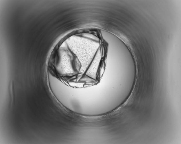 X0000094331200200711301222