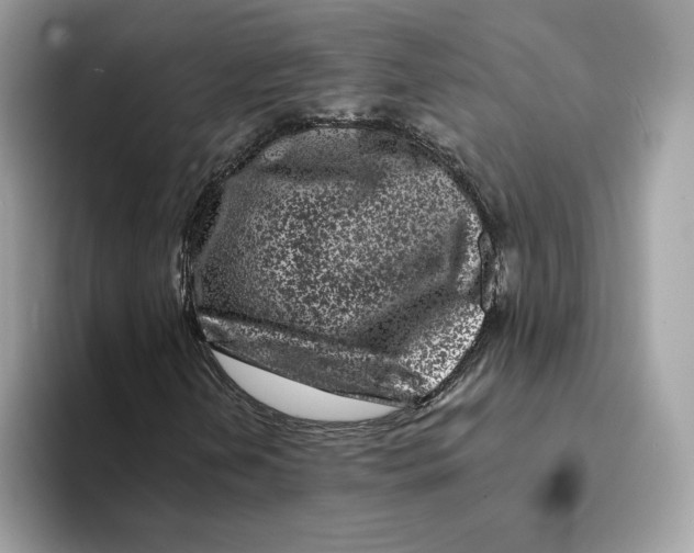 X0000094331202200711301221