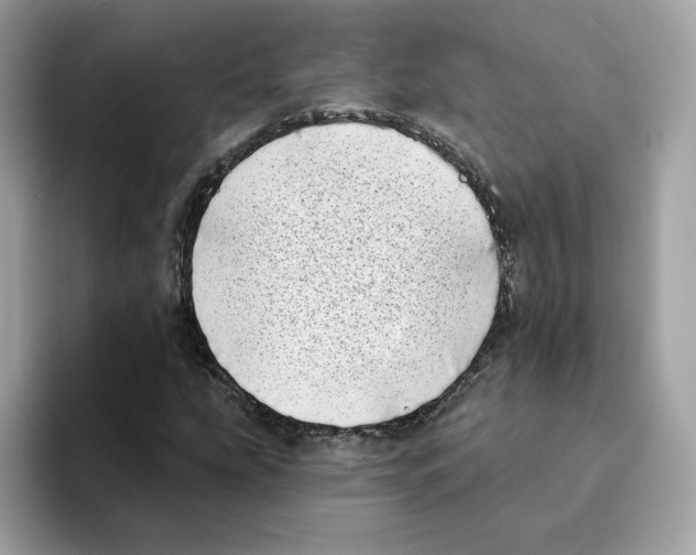 X0000094331207200711301221