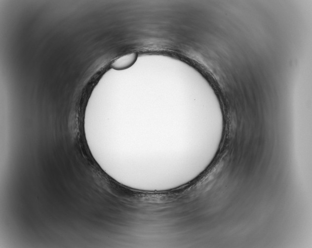 X0000094331211200711301221