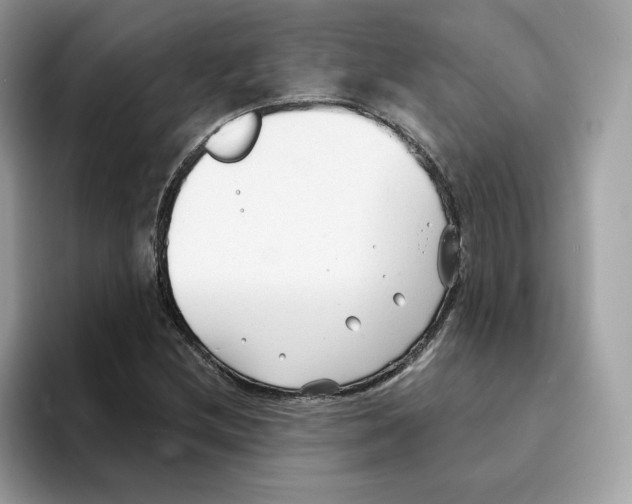 X0000094331212200711301222