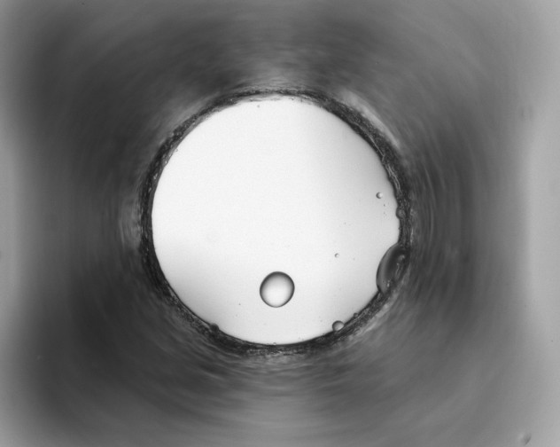 X0000094331213200711301222