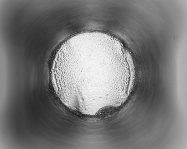 X0000094331219200711301222