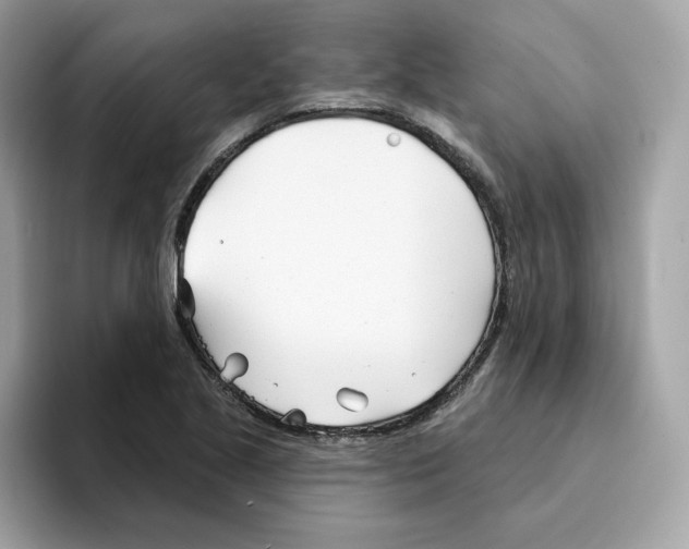 X0000094331221200711301222