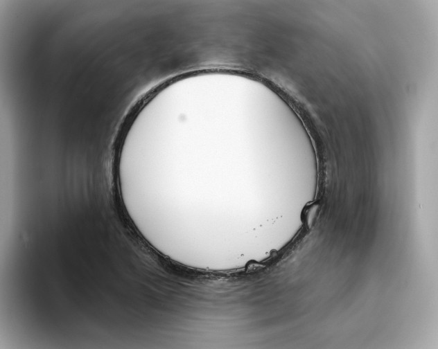 X0000094331222200711301222