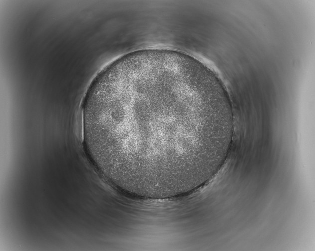 X0000094331223200711301222