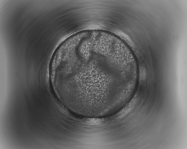 X0000094331226200711301222