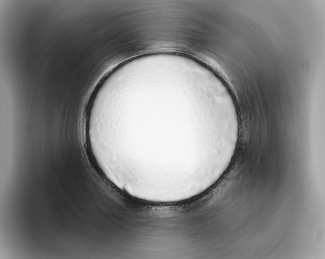 X0000094331227200711301222