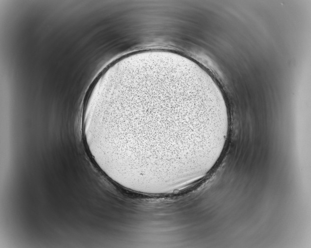 X0000094331228200711301222