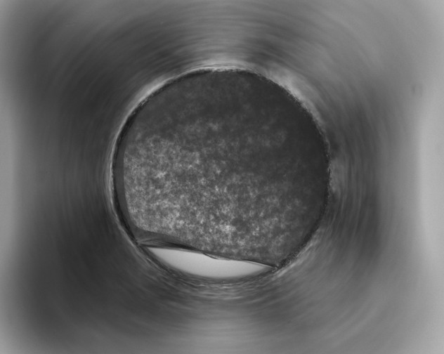 X0000094331229200711301222