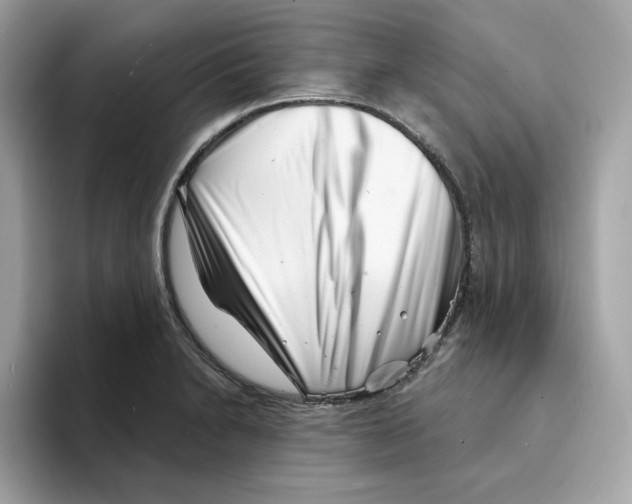 X0000094331230200711301222