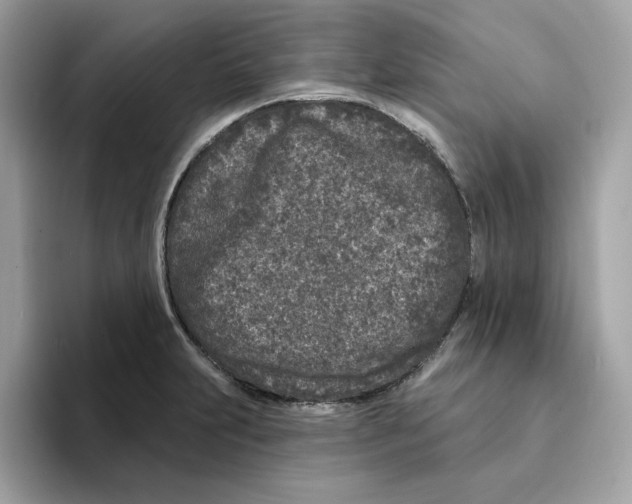 X0000094331231200711301222