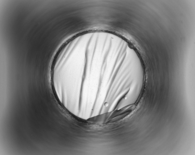 X0000094331232200711301222