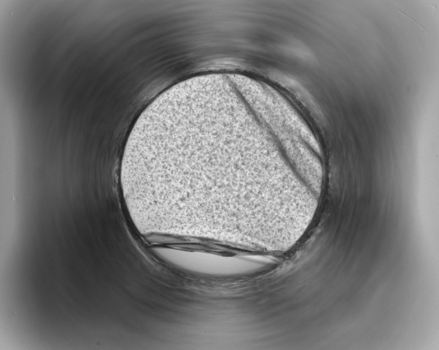 X0000094331233200711301222