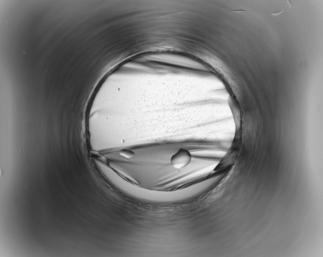 X0000094331234200711301222