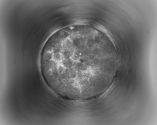 X0000094331235200711301222