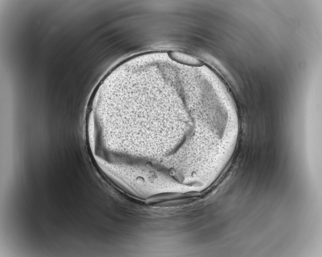 X0000094331236200711301222