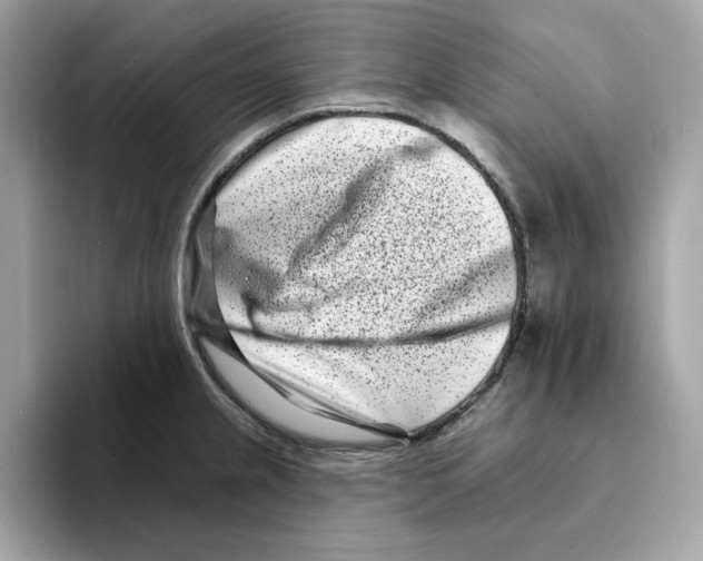 X0000094331237200711301222