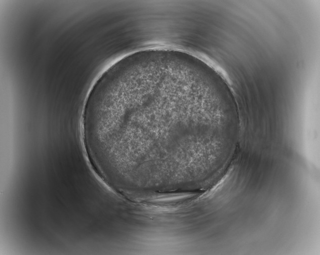 X0000094331239200711301222