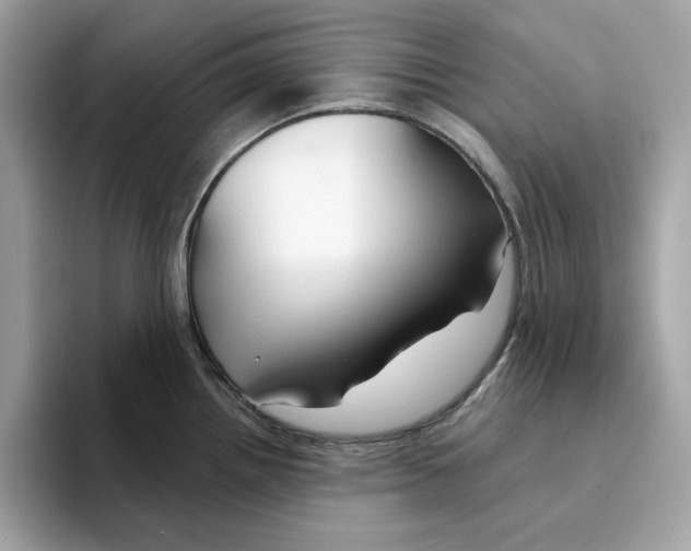 X0000094331242200711301222