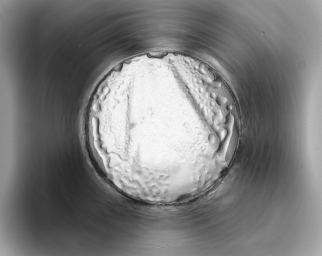 X0000094331243200711301222