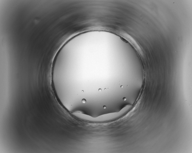 X0000094331244200711301222