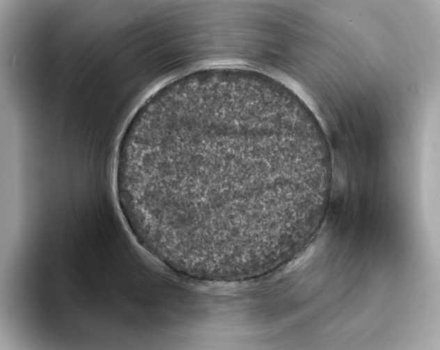 X0000094331245200711301222