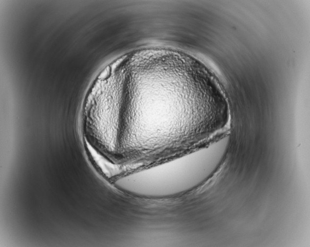 X0000094331247200711301222