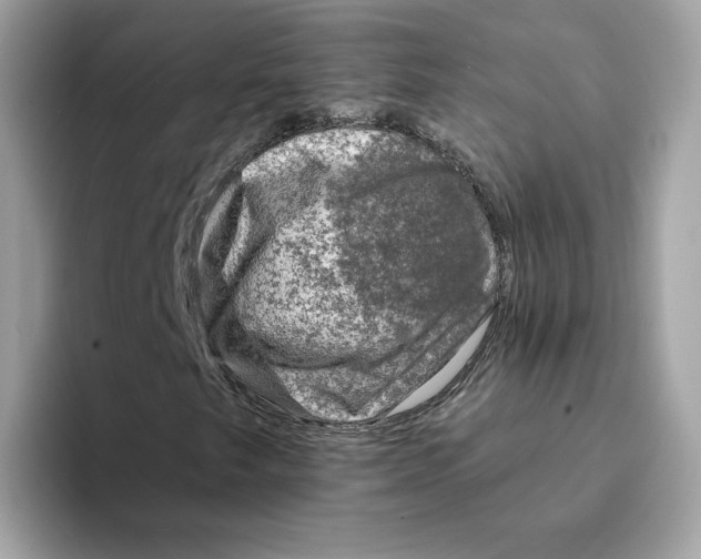 X0000094331249200711301221