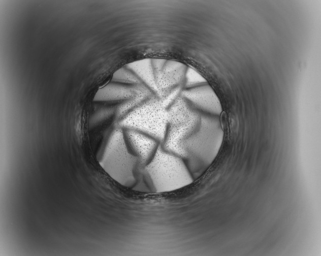 X0000094331250200711301221