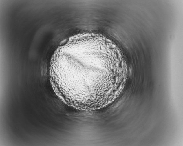 X0000094331251200711301221