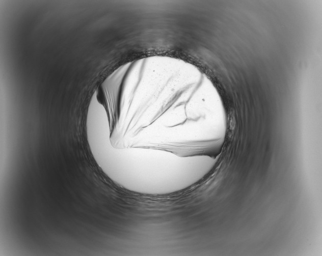 X0000094331252200711301221