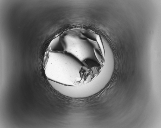 X0000094331253200711301221