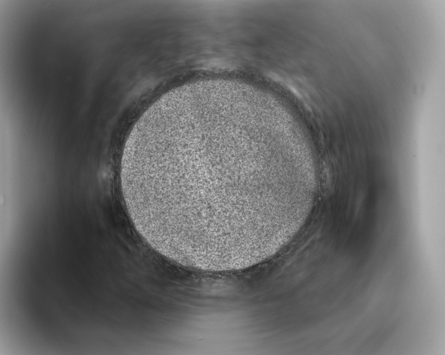 X0000094331254200711301221