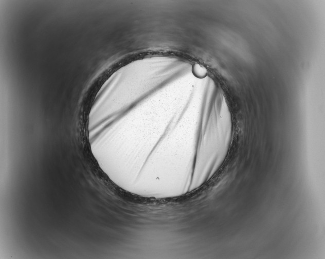 X0000094331256200711301221