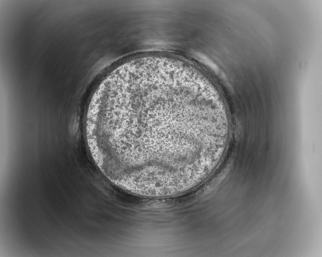 X0000094331259200711301221